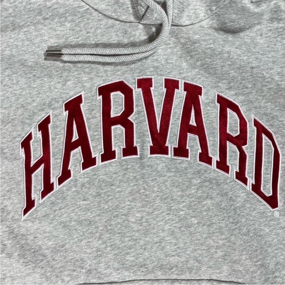 H&M Harvard Preppy Athleisure Grey & Red Logo Cotton Blend Hoodie - Picture 4 of 10